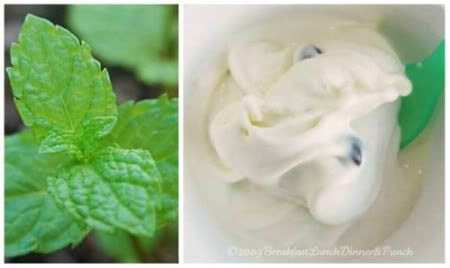 mint chocolate chip ice-cream