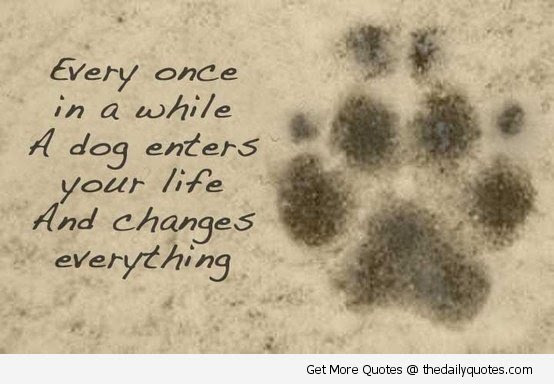 Dog Passed Away Quotes. QuotesGram Dog Passed Away Quotes. QuotesGram