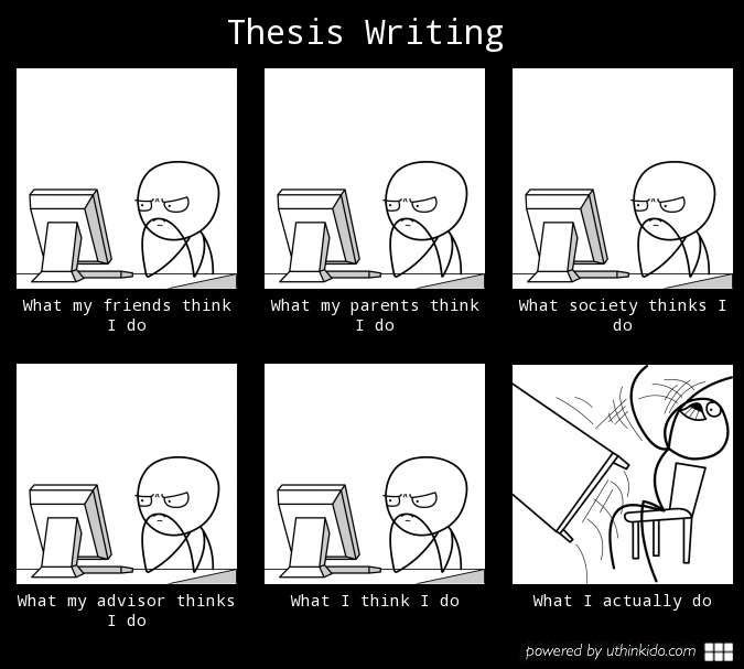 i hate my phd thesis