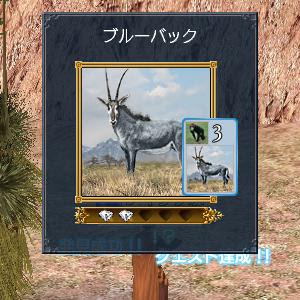 Hd限定ブルー バック 動物 すべての動物画像