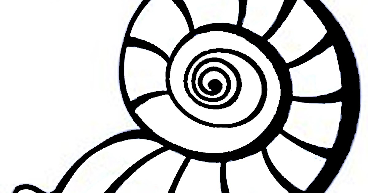 How To Draw A Sea Shell Step By Step Easy