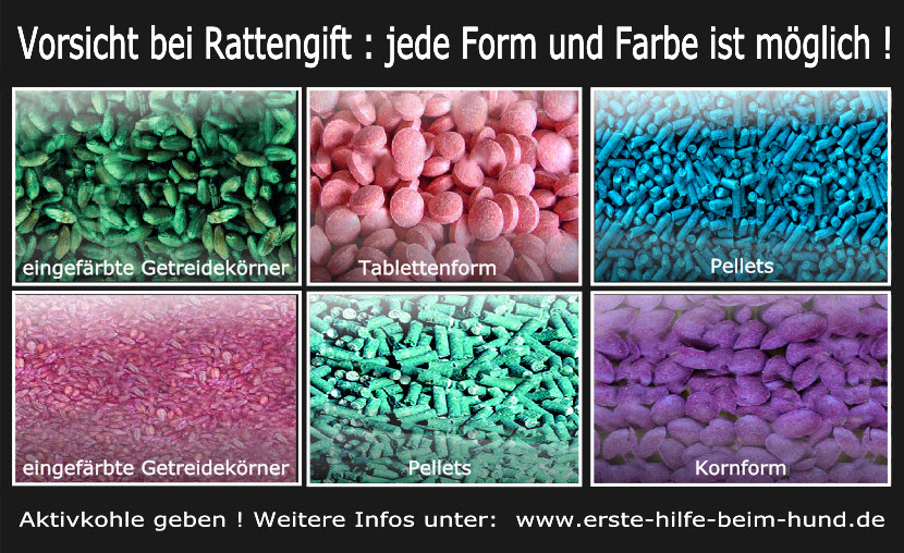 kohletabletten_hund_dosierung — Die Hunde bellen