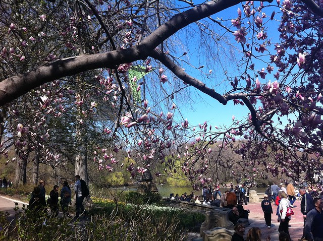 April in New York
