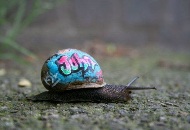 Daily Picdump Daily Picdump
