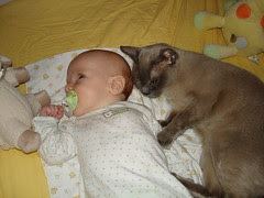 DSC06145.JPG