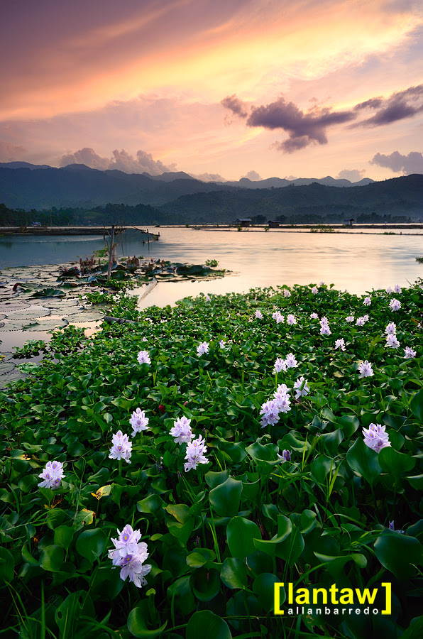 Lake Sebu Twilight