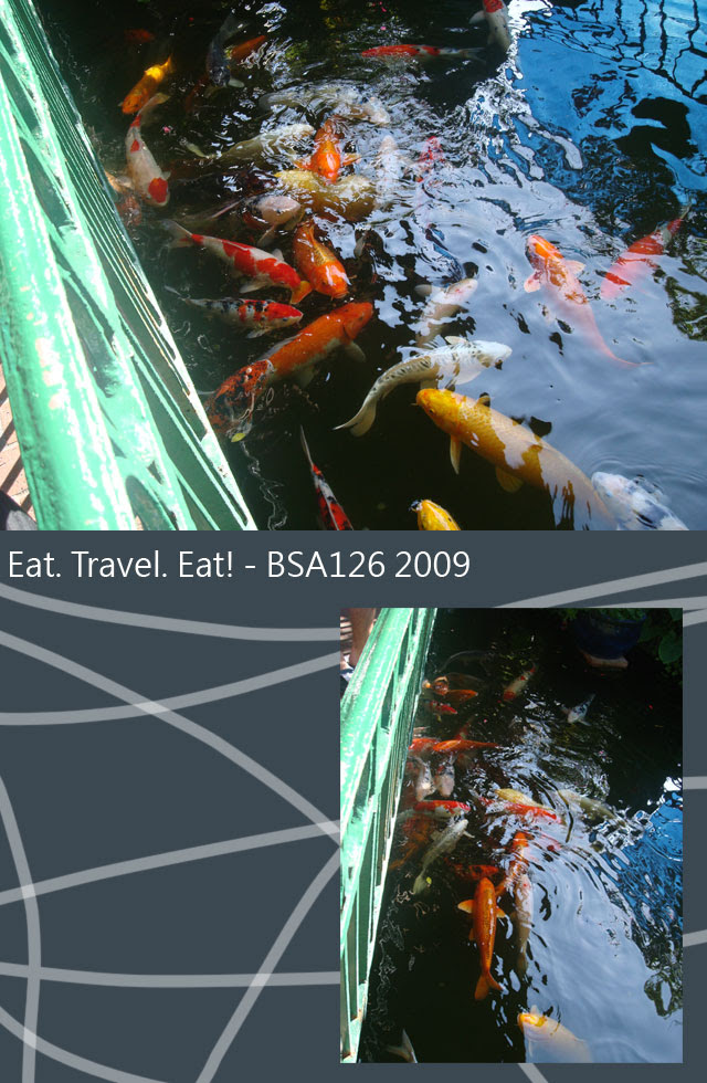 Fish-Pond-2