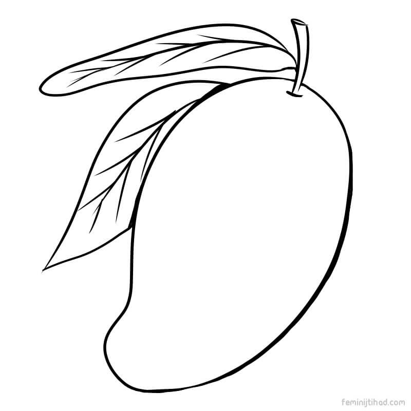 Featured image of post Mango Drawing Pictures For Kids : I present this drawing very easily with step by step.