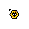 Wolverhampton Wanderers FC
