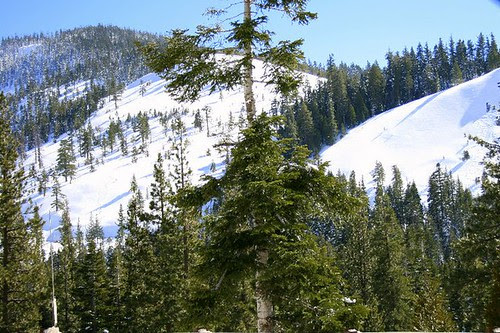 Ski Tahoe