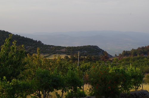 IMGP1246
