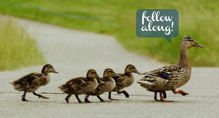 ducklings follow