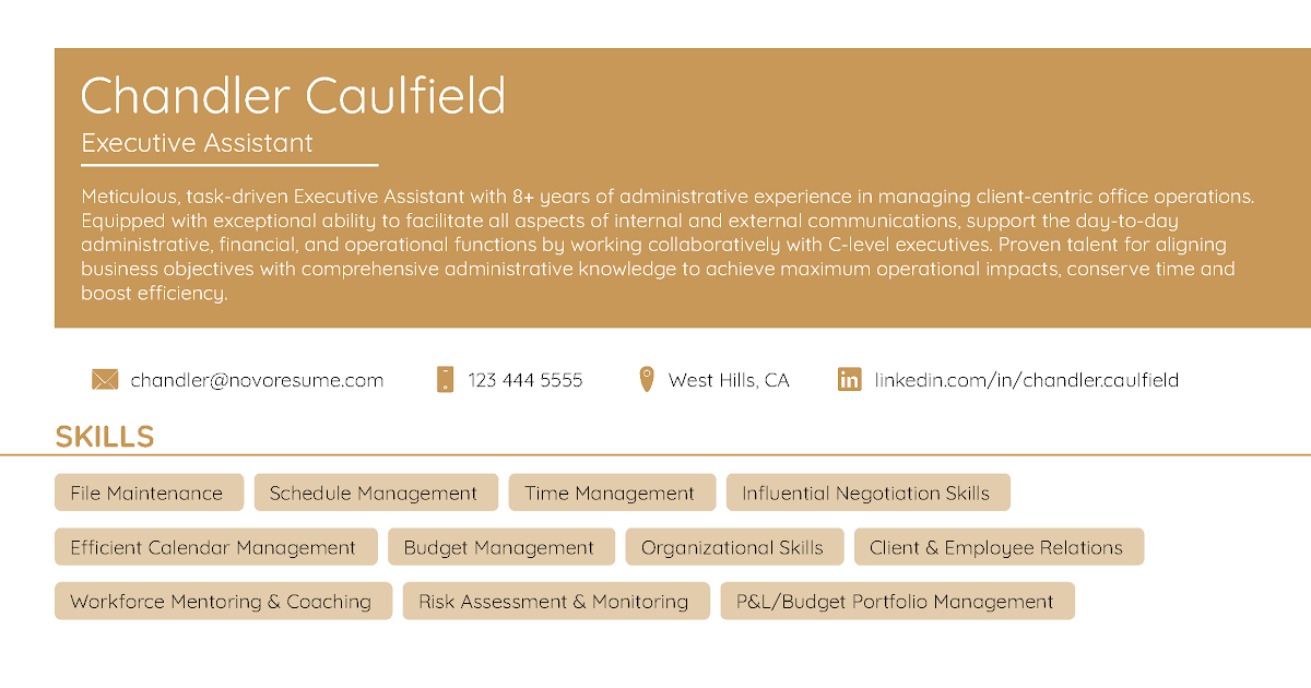 Simple Cv Template For Students