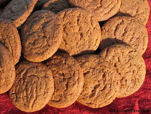 Molasses ginger spice snap cookies 2