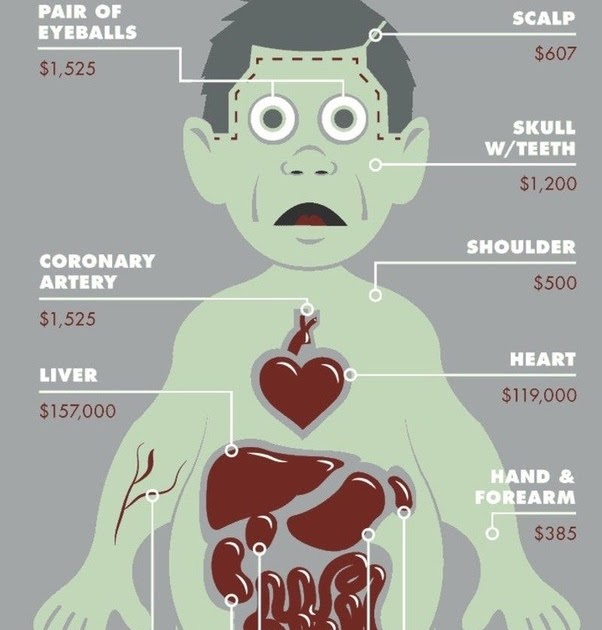How The Spine Causes Pain To Your Internal Organs - vrogue.co