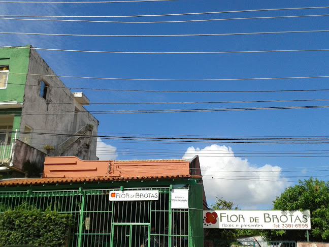 Flor de Brotas - Salvador