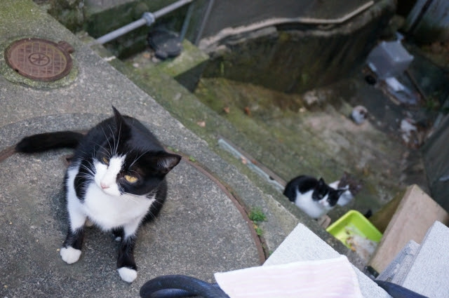 DSC05488.jpg