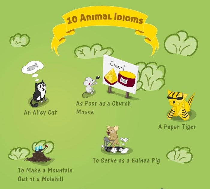 Idioms with roof. English idioms about money. Animal idioms. Idioms explanation. Animal idioms in English.