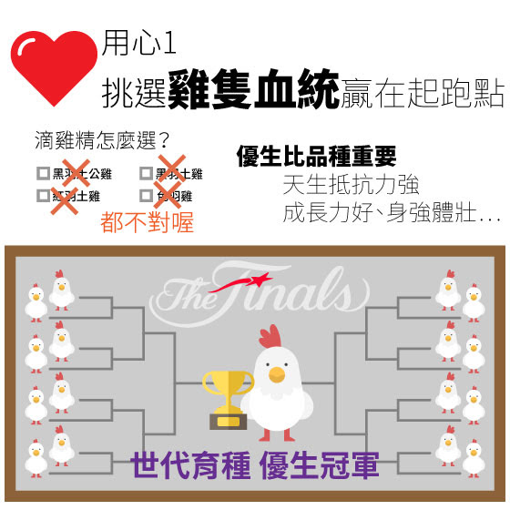 2017/禮盒/寶島手路菜/滴雞精