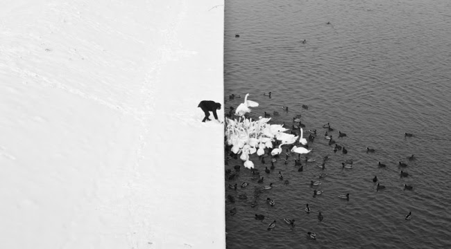 100 лучших фотографий года