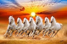7 Horse Wall Papper Hd - Iphone 7 7 Horse Wallpaper Hd For Mobile