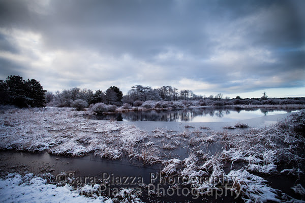Sweetened Water, Edgartown News, snow
