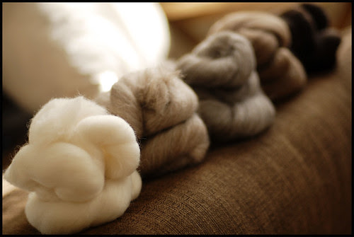 Shetland Sampler