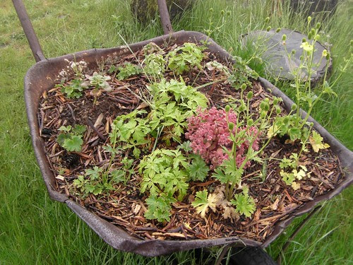 2012 05 19_Alice Sousa110