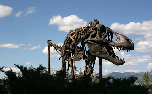 Science Museum «Museum of the Rockies», reviews and photos, 600 W Kagy Blvd, Bozeman, MT 59717, USA
