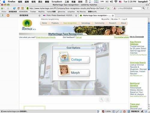 MyHeritage face recognition - 04.png