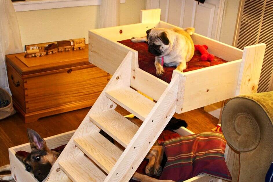 Pro Wooden Guide Dog Bunk Bed With Stairs Plans