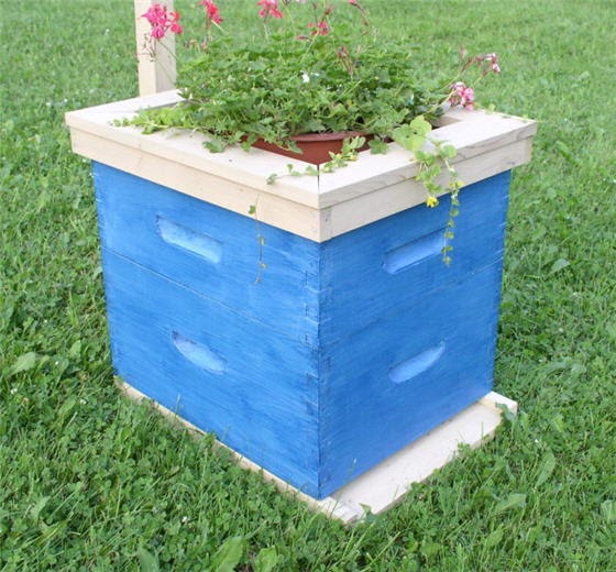 Bee hive stand plans free Guide ~ Bikal