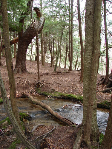 Hector Falls by Ludlow, Pa.