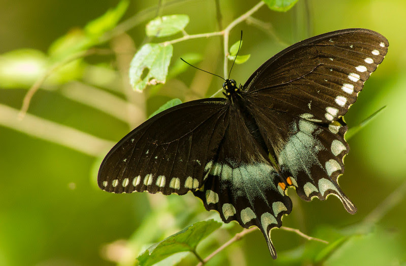 Photo & Video Sharing by SmugMug Photo & Video Sharing by SmugMug