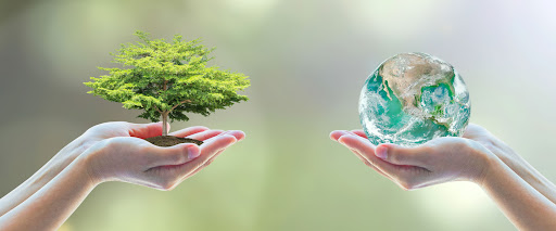 IES VIRGEN DE CONSOLACIÓN - Biología y Geología