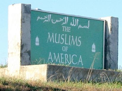 The Muslims of America