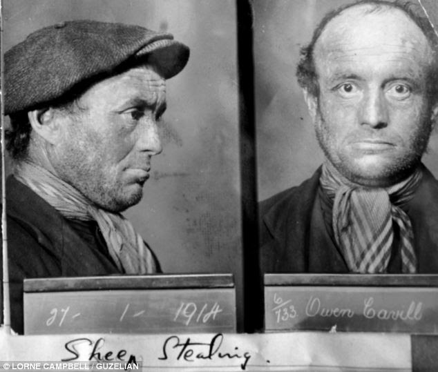 Previously unseen: The exhibition includes some of the earliest mugshots taken of petty thieves including this one of Owen Cavill who was arrested for sheep stealing