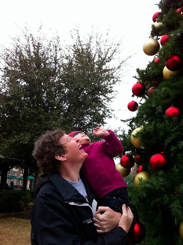 122110_tree.jpg