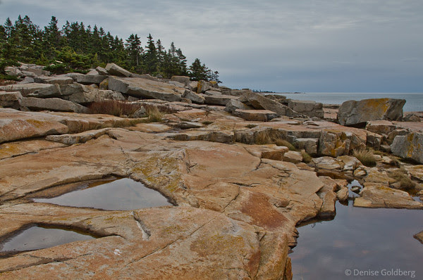Near the tip of the Schoodic Peninsula, Acadia National Park, Maine