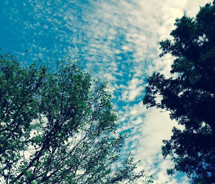 Royalty Free Photos For Commercial Use : FREE Stock Photos & Royalty