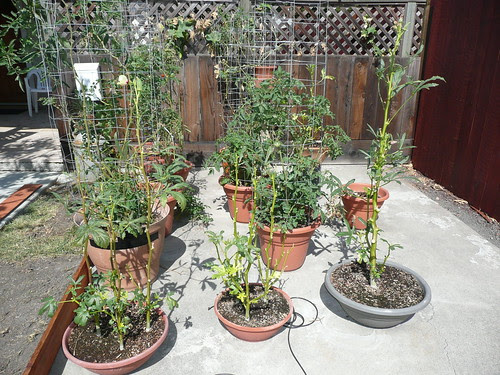 P1000901