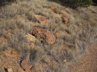 Free Image Hosting at www.ImageShack.us