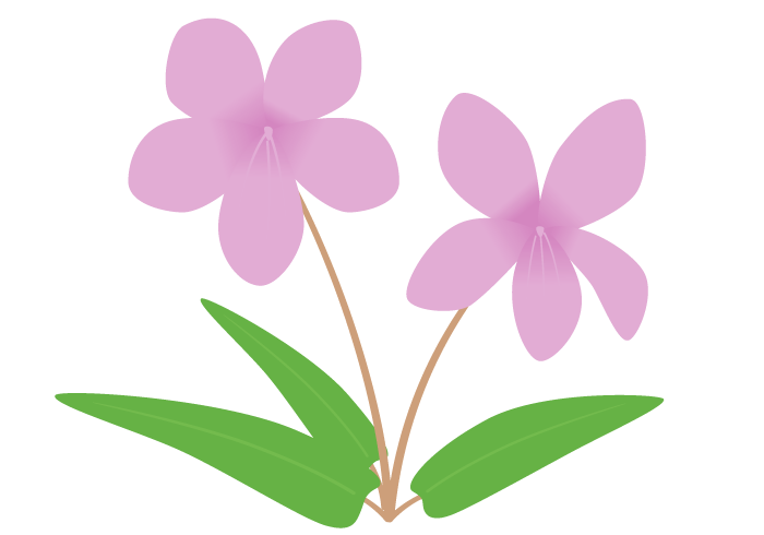 無料ダウンロードすみれ 花 イラスト 無料イラスト集