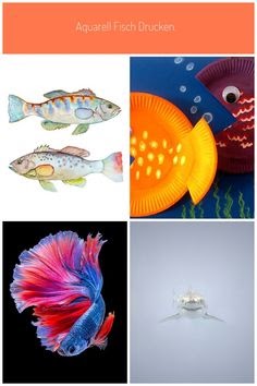 Ausdrucken klein zum fische Ausmalbilder Fische