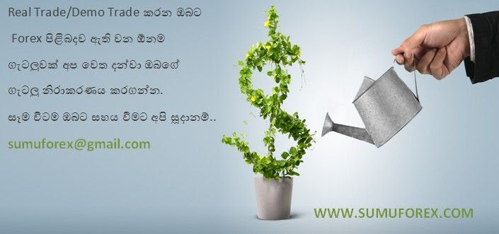 Forex trading in sri lanka legal