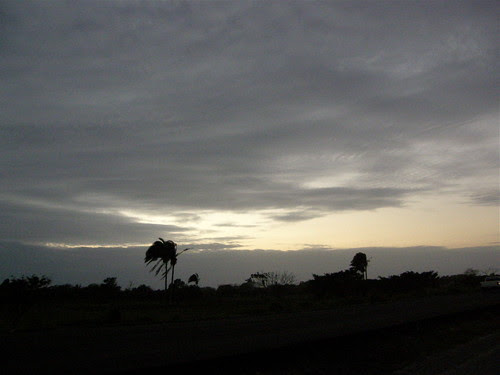 P1300052