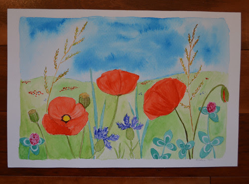 Wonderful poppies in a field from Agnieszka