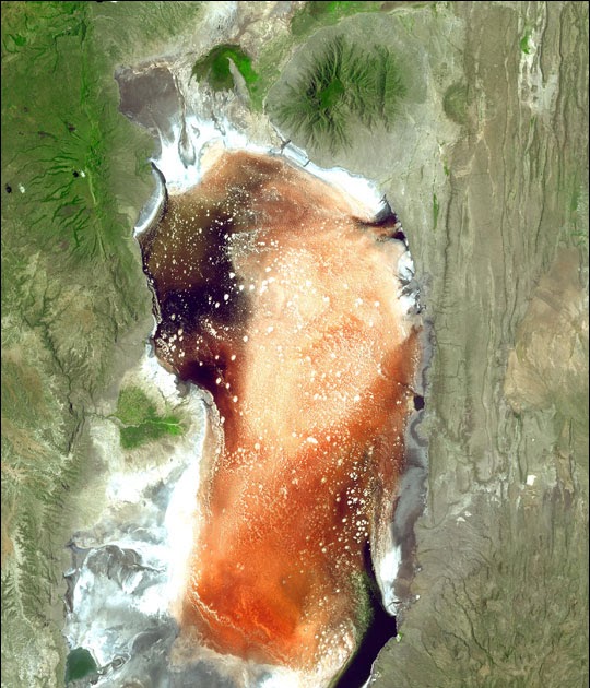 क्यों बन जाती है लेक नाट्रन पक्षियों का कब्रगाह ?This Bright Red Lake Is The World’s Most Caustic Body Of Water, But Not To Everything.