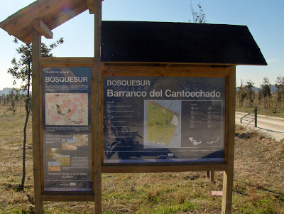 Lago Mari-Pascuala