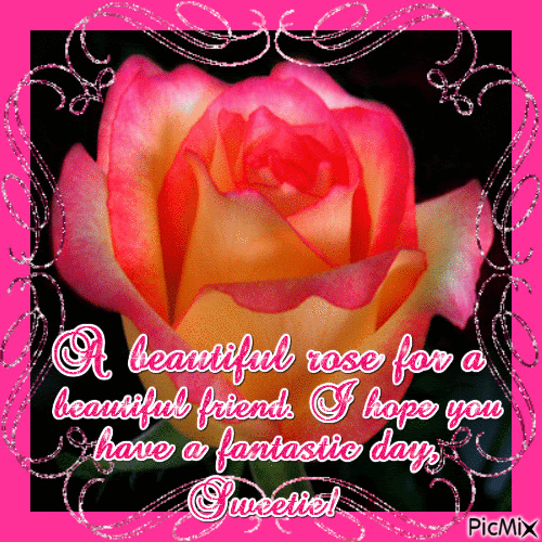 Betty MacDonald Fan Club: Betty MacDonald and beautiful roses